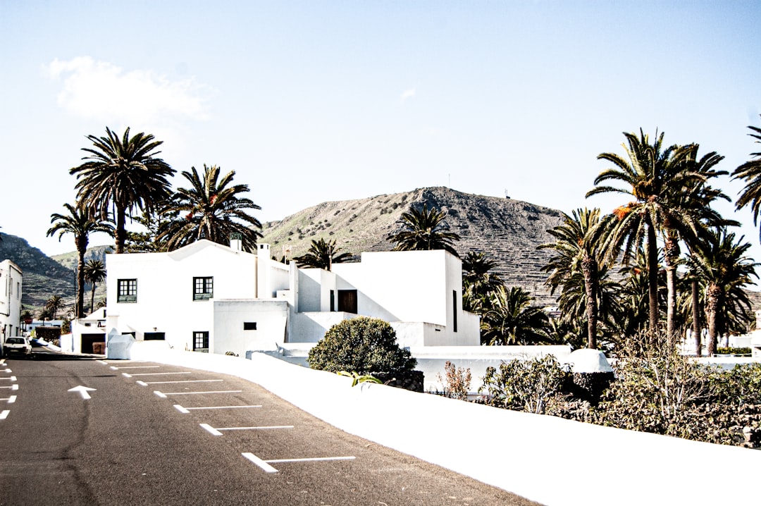 white concrete house near palm tree under white sky during daytime