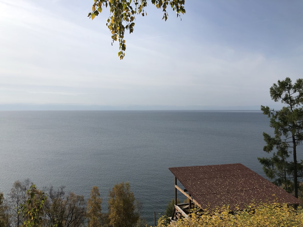 brown wooden house near body of water during daytime