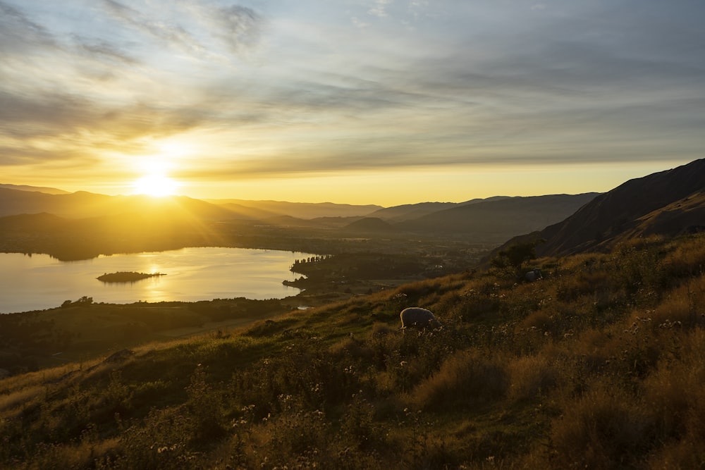 Champ d’herbe verte près du plan d’eau au coucher du soleil