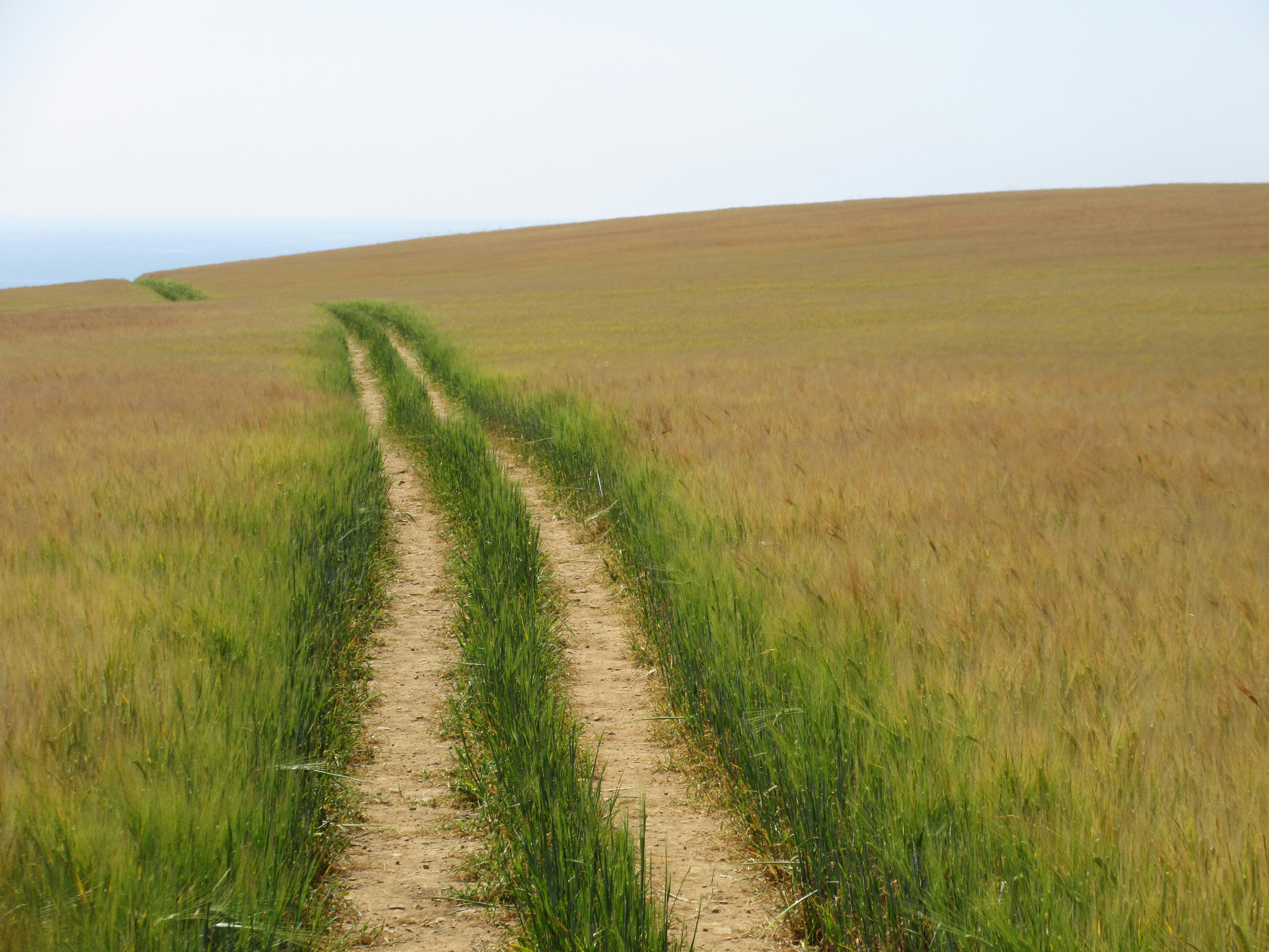 Photo by mind_the_gap