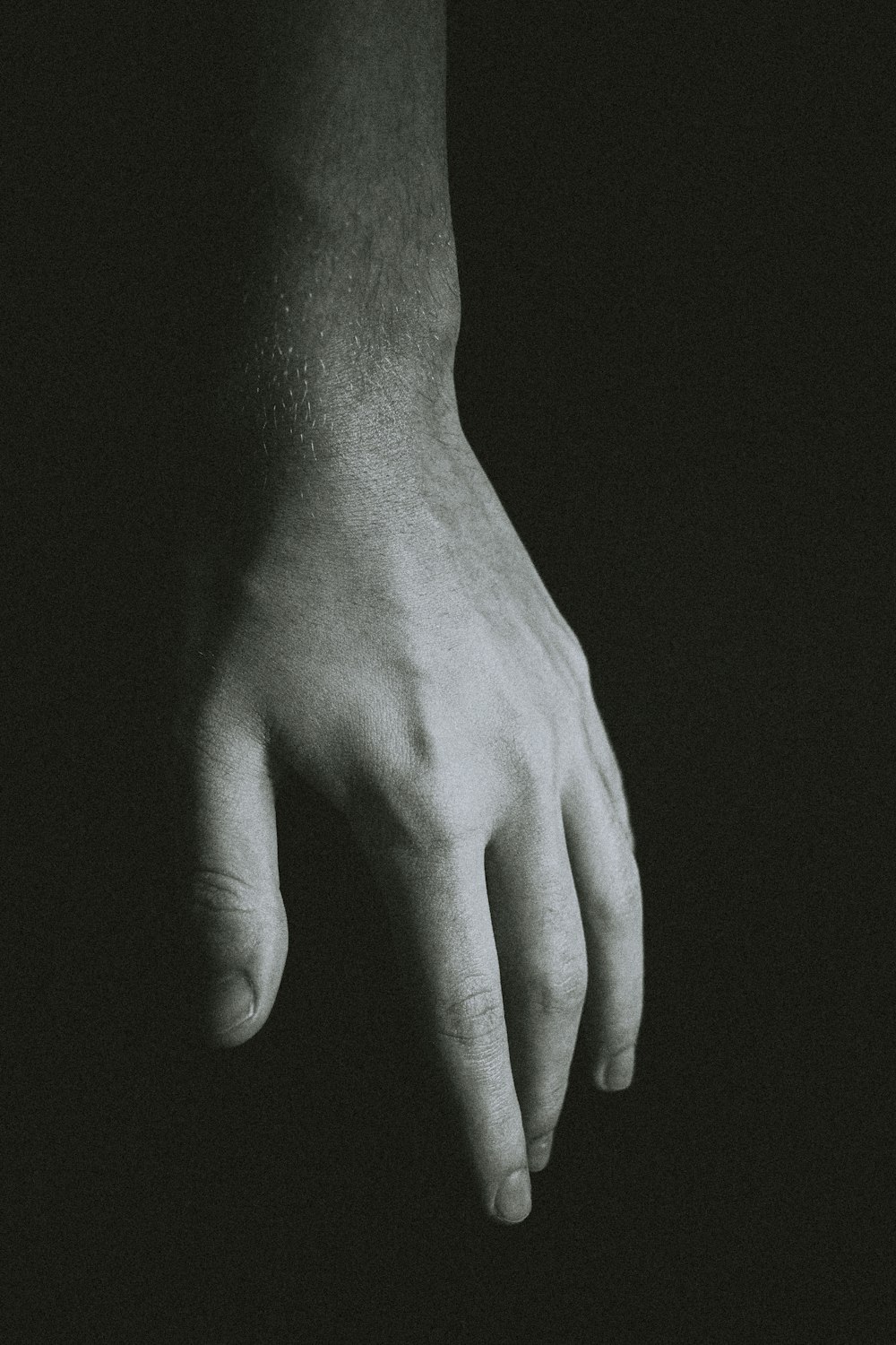 grayscale photo of persons hand