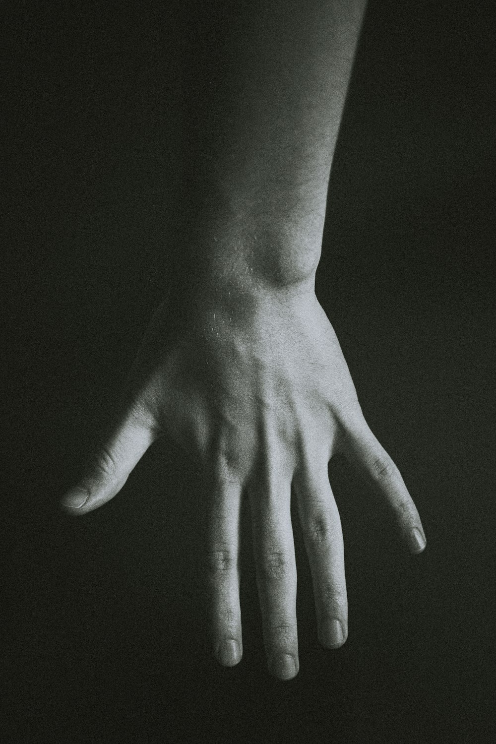 grayscale photo of persons hand