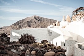A white, rustic adobe-style structure is surrounded by desert foliage, predominantly cacti and succulents. The setting is arid, with rocky mountains in the background under a clear blue sky. A sign on the building reads 'Casa Vicente Martín'. Shadows of palm trees are visible, adding a tropical element to the scene.