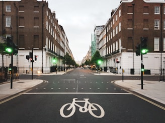 black and white pedestrian lane
