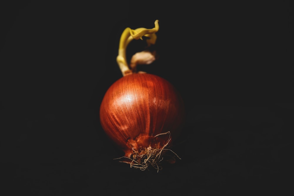 red onion on black background