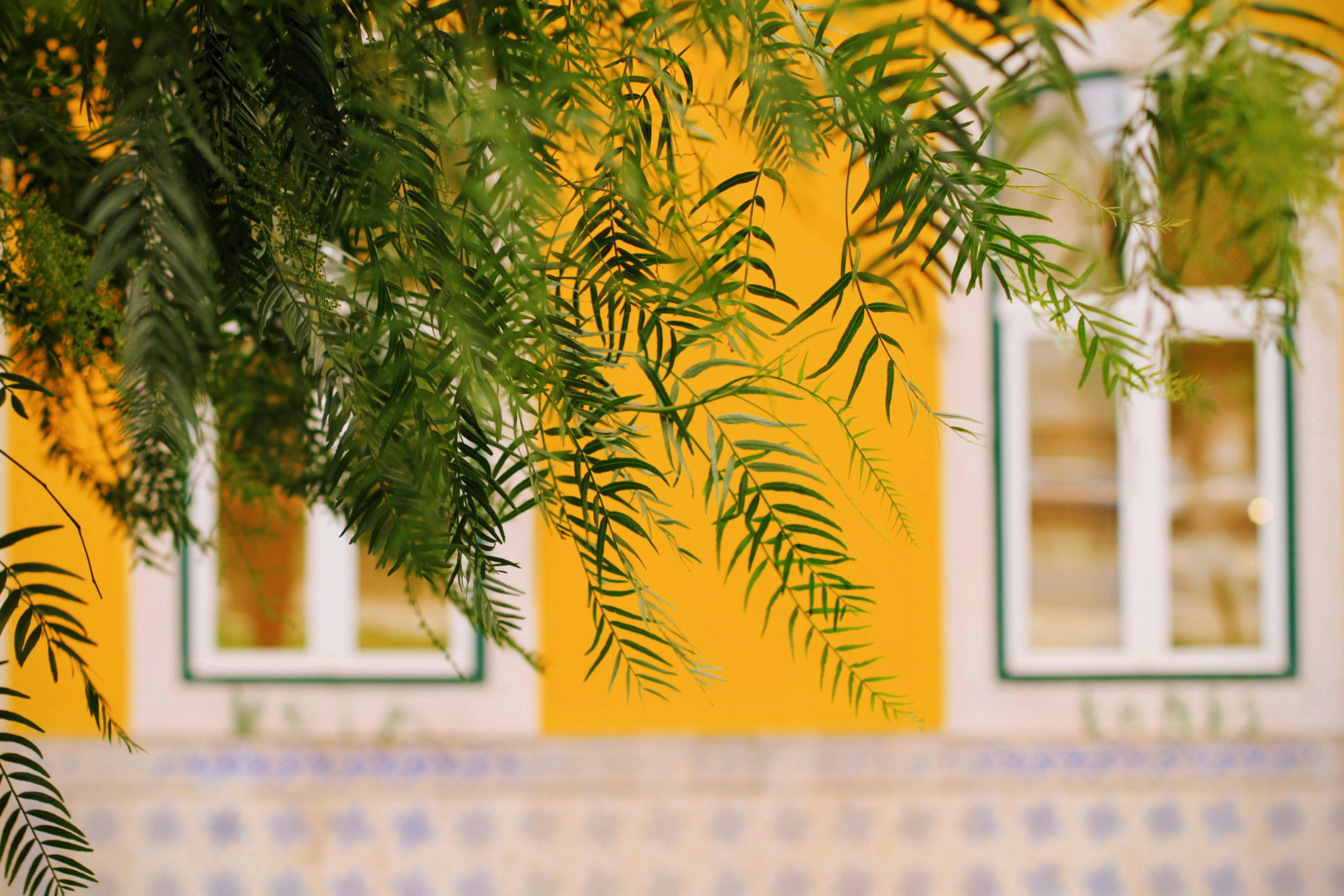 Photo by assopicasso