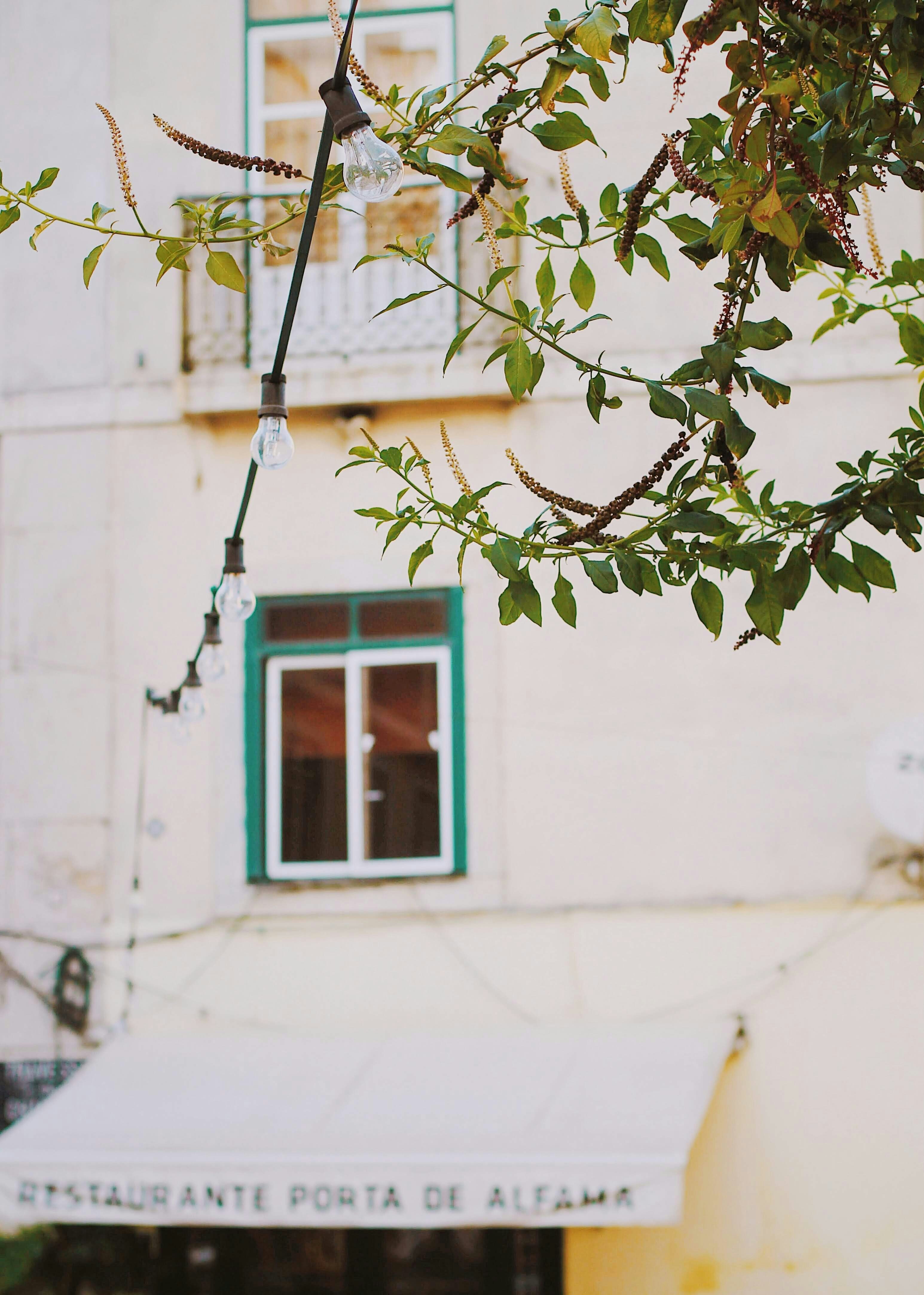 Photo by assopicasso