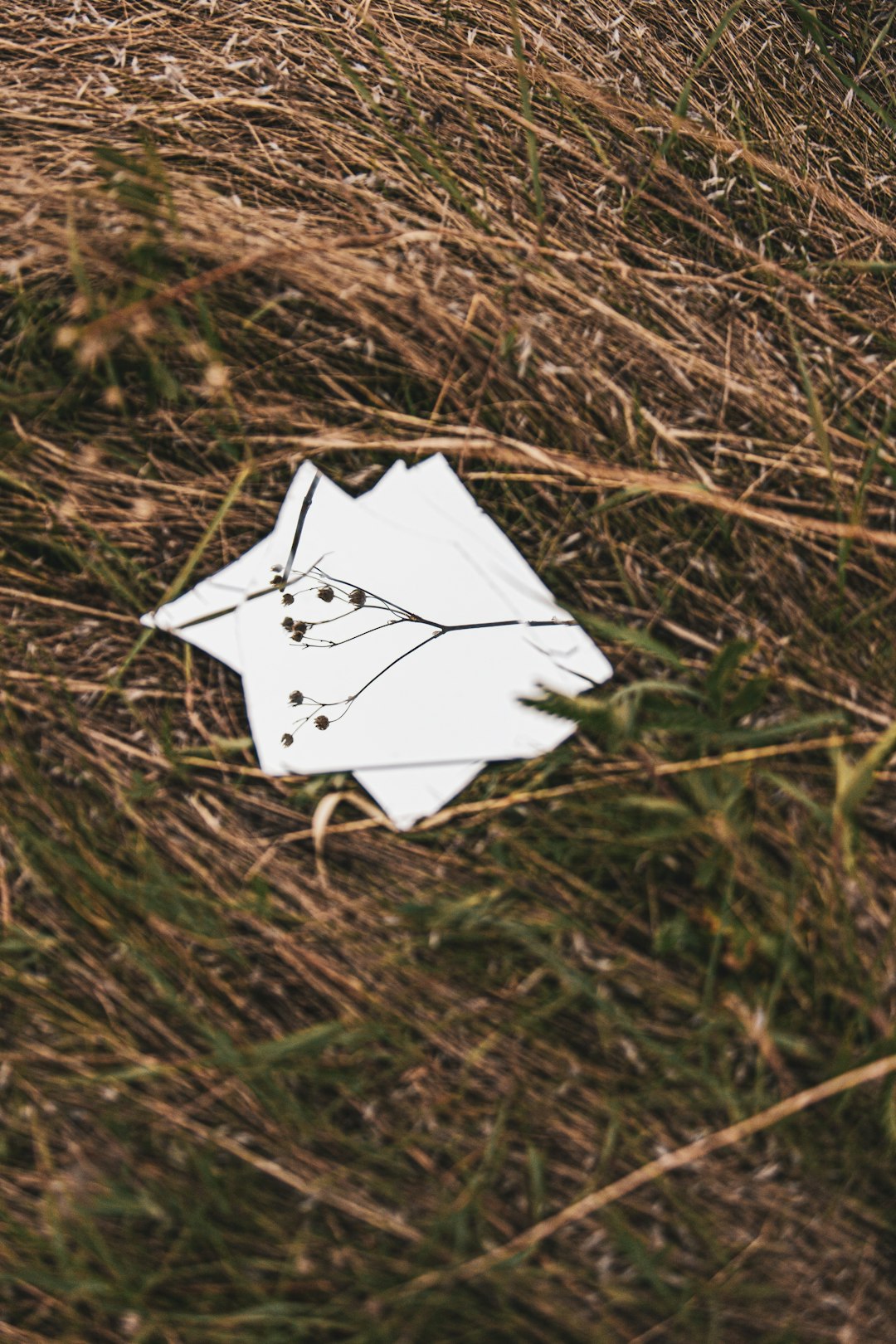 white paper on brown grass