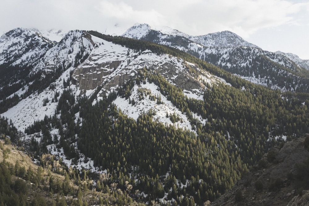 green and white mountains under white sky during daytime