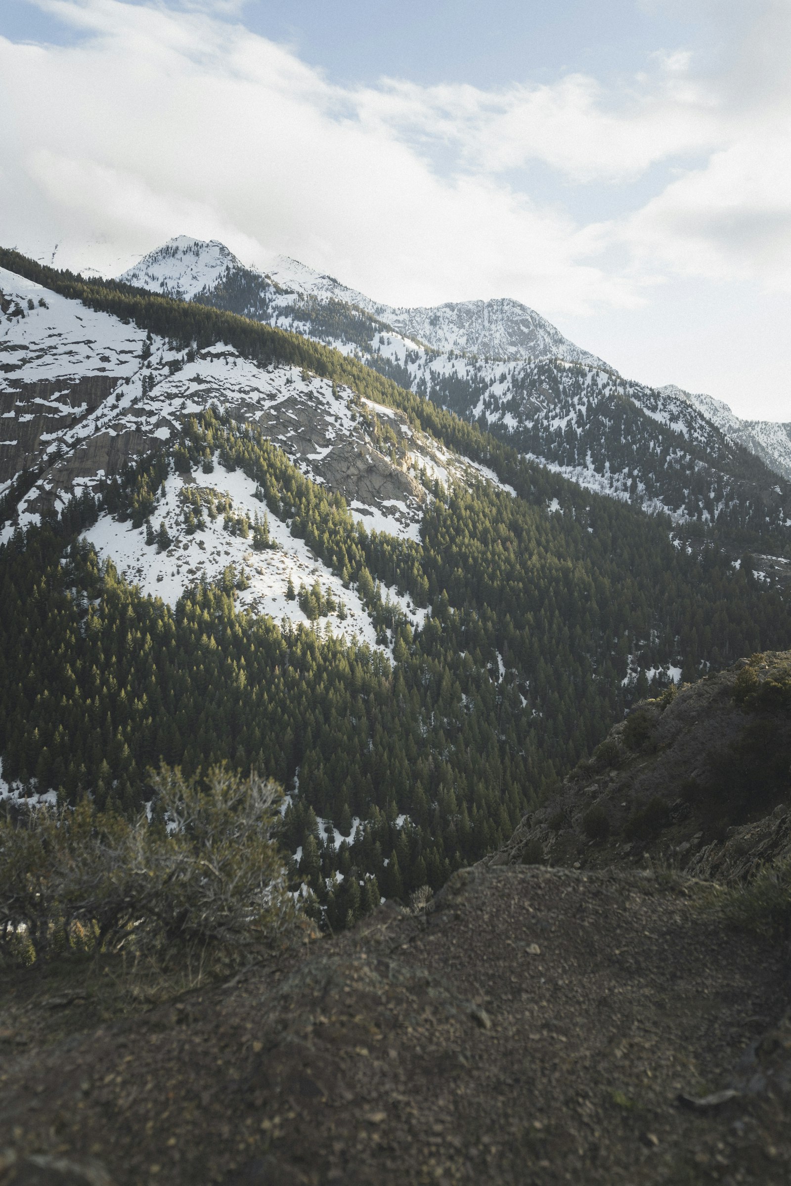 Canon EOS 6D Mark II + Sigma 24mm F1.4 DG HSM Art sample photo. Green and white mountains photography