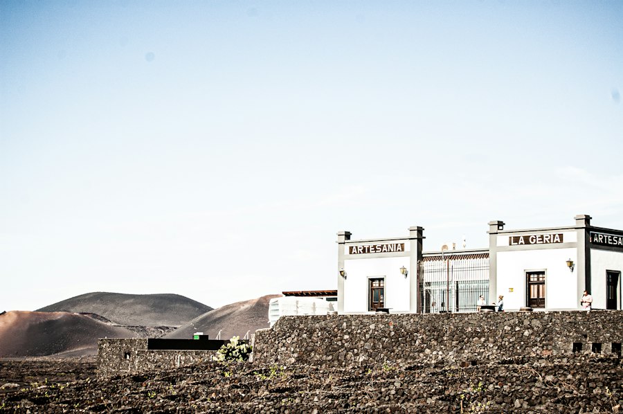 Interior de la bodega PICÓN — La Geria