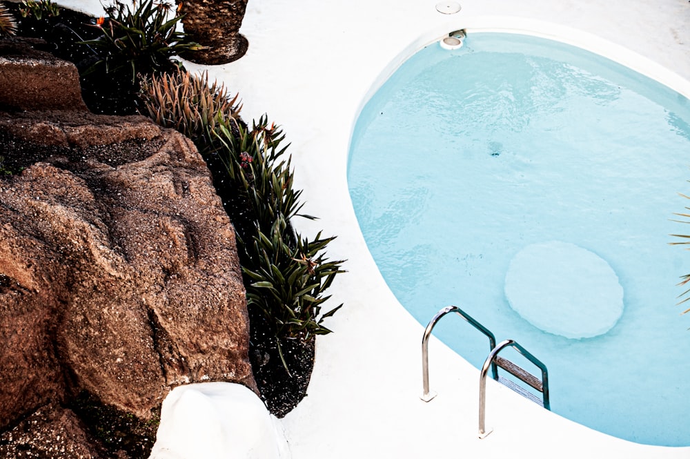 blue swimming pool near green plants during daytime