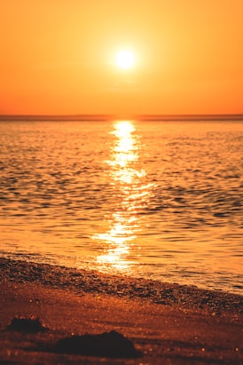 body of water during sunset