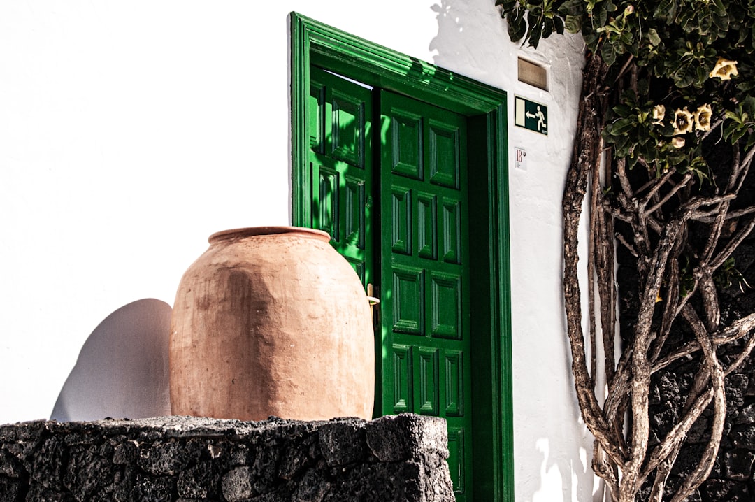 green wooden door beside brown clay vase
