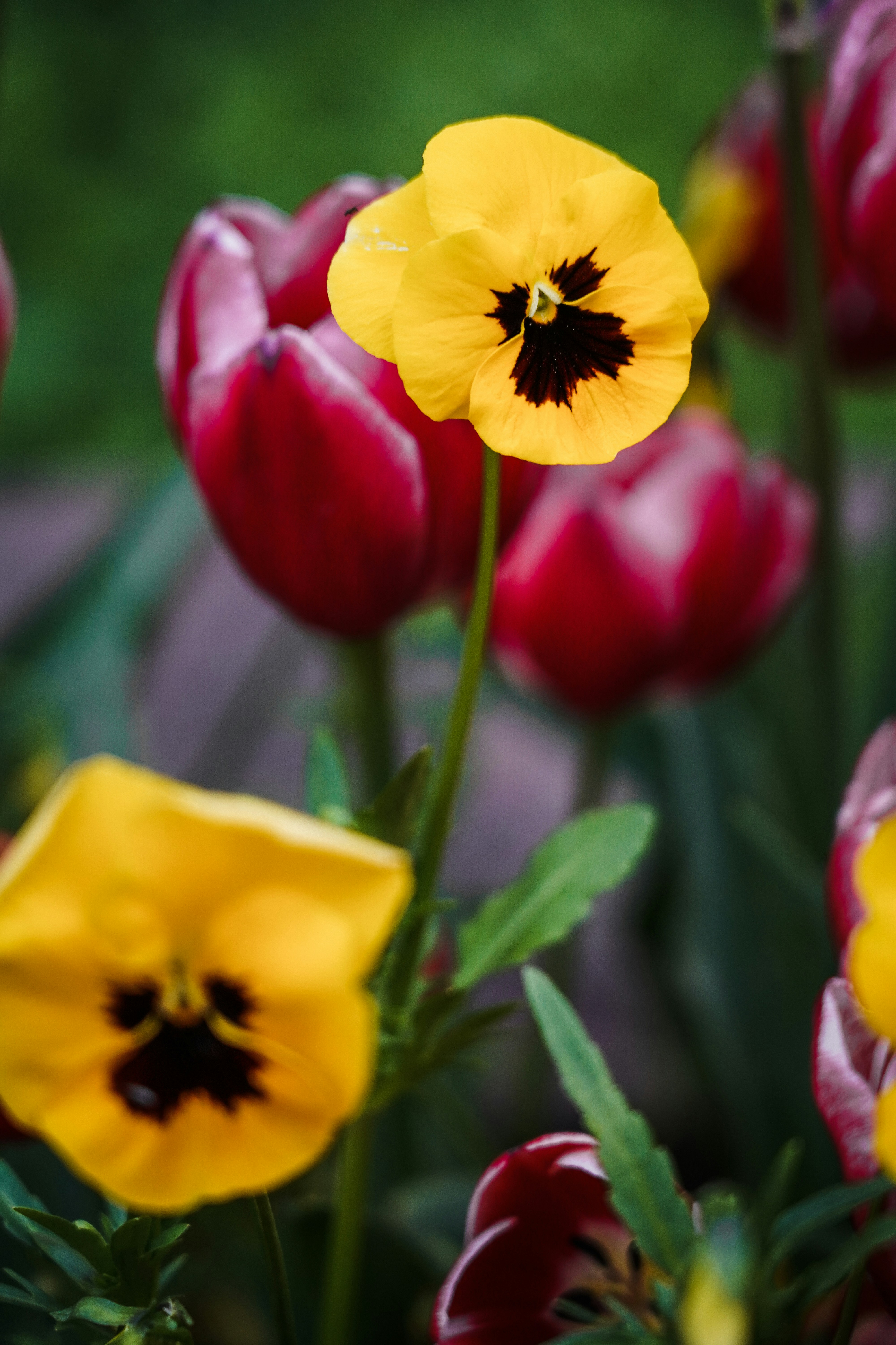 Photo by kiarash_mansouri