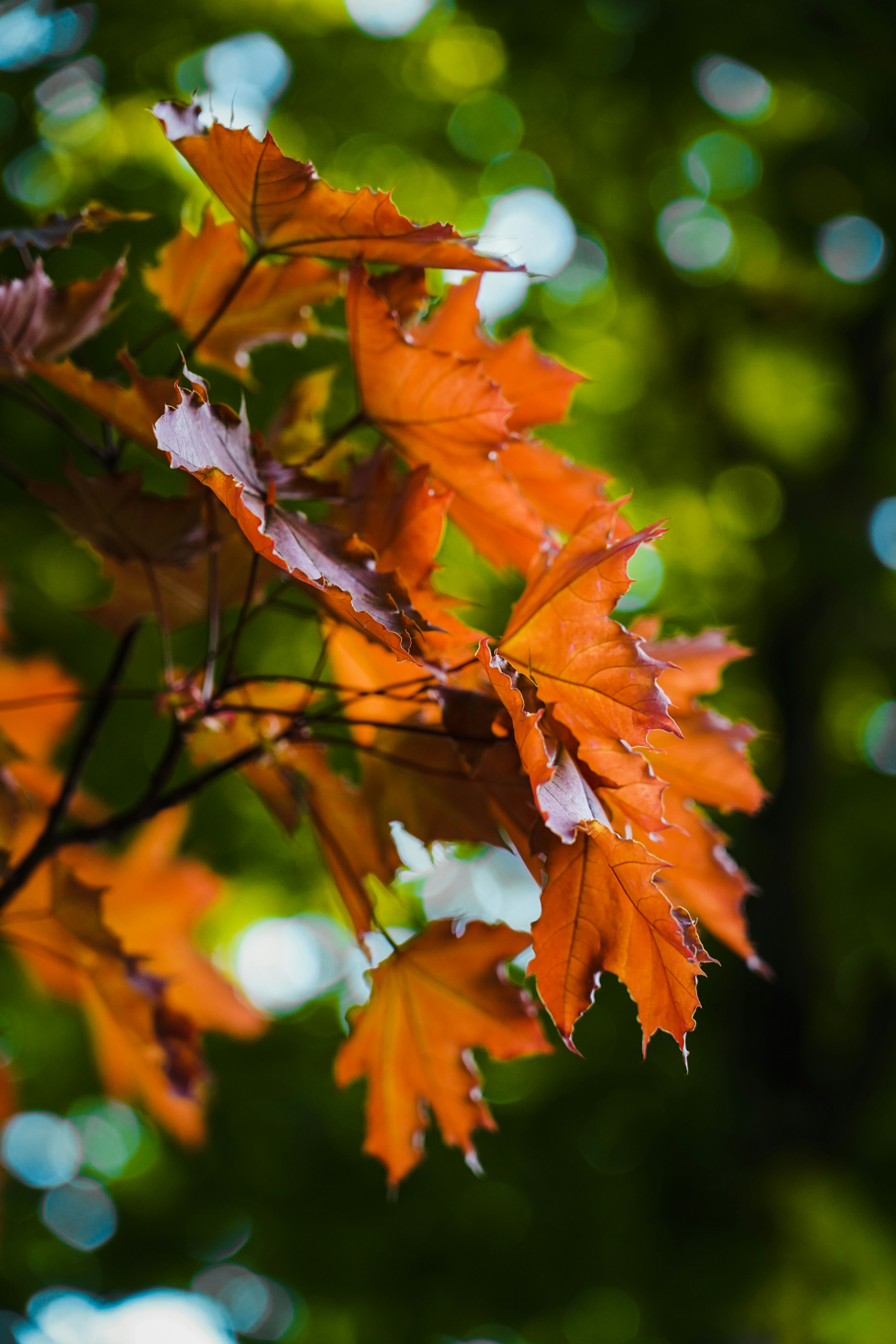 Photo by kiarash_mansouri