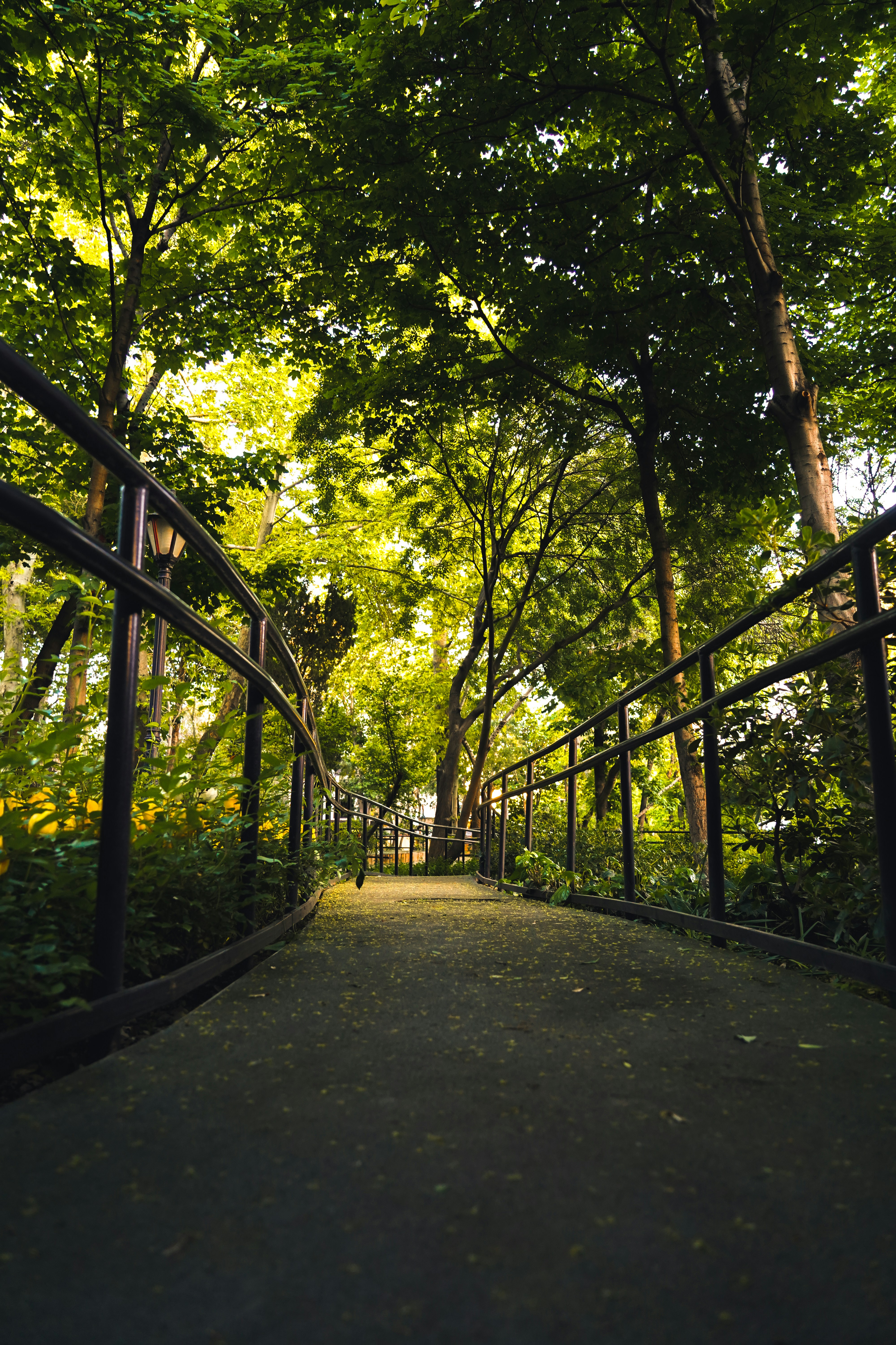 Photo by kiarash_mansouri