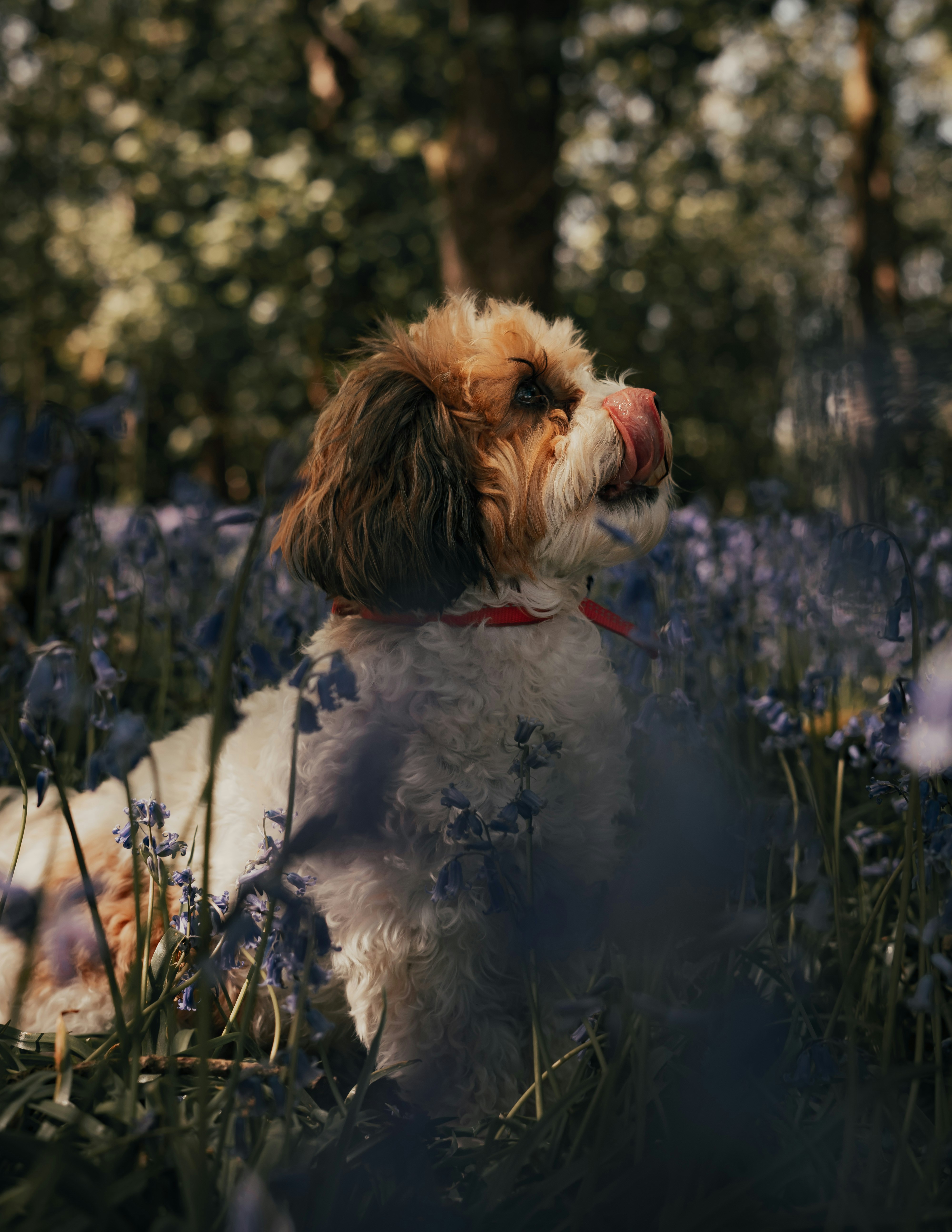 Photo by samuelgirven