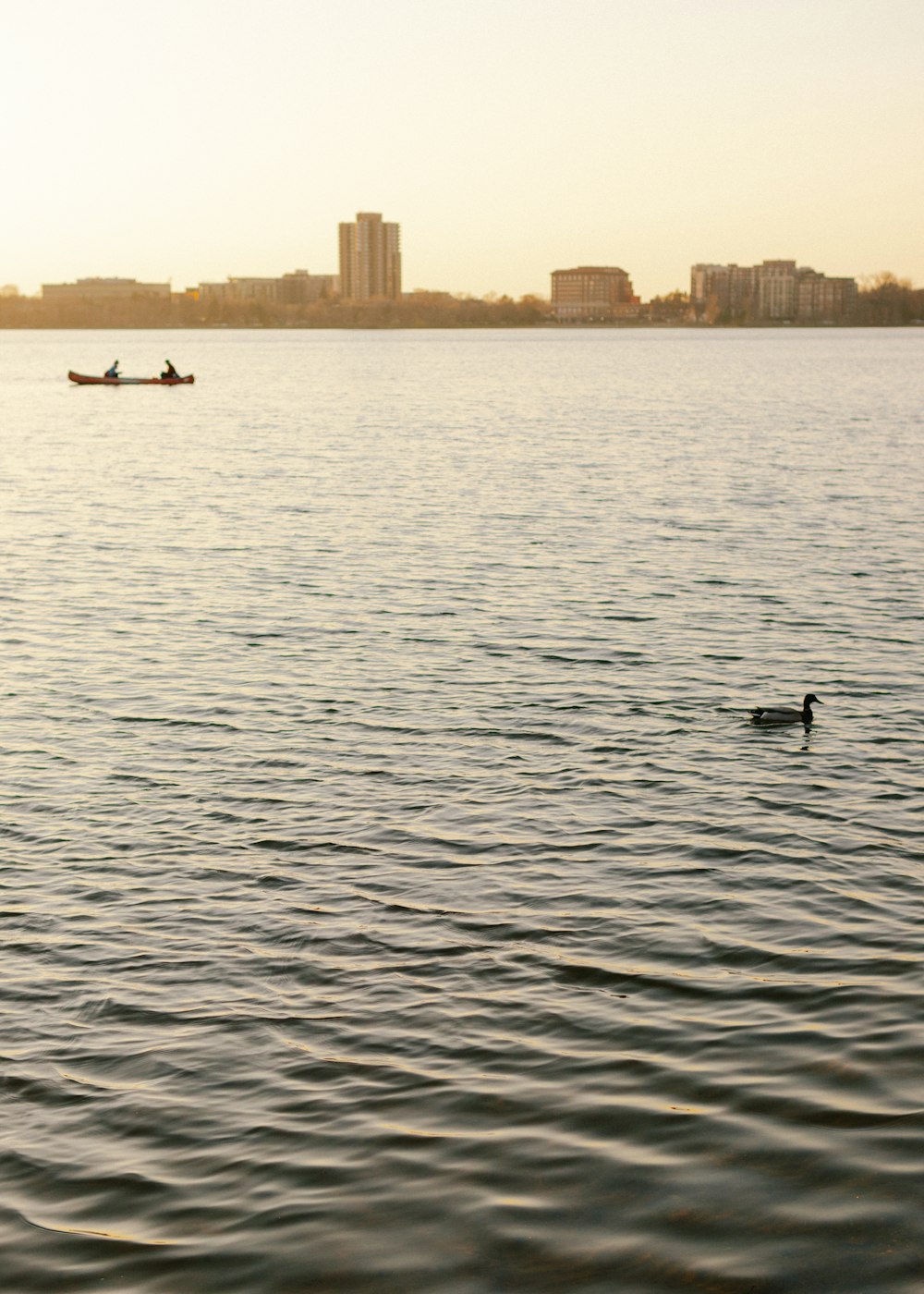 person riding on boat on sea during daytime