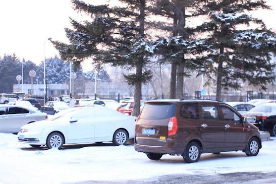 A parking lot is covered in snow. Several cars are parked, including a brown SUV in the foreground and a white sedan to its left. Snow blankets the ground and the trees nearby, and the scene includes other parked vehicles in the distance. Large evergreen trees line the area, adding to the wintry setting.