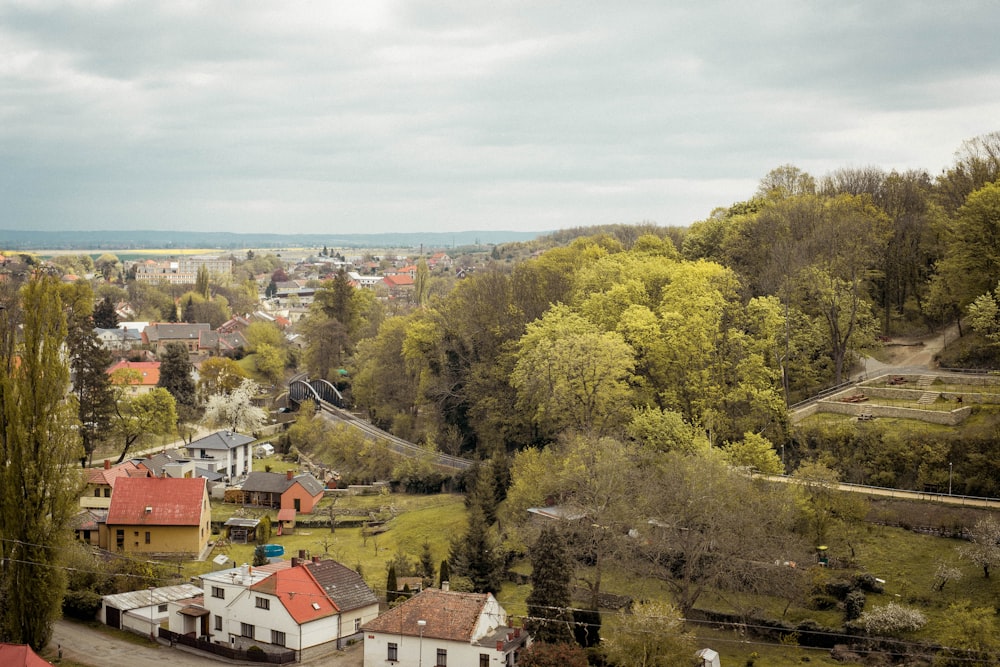 green trees near houses during daytime