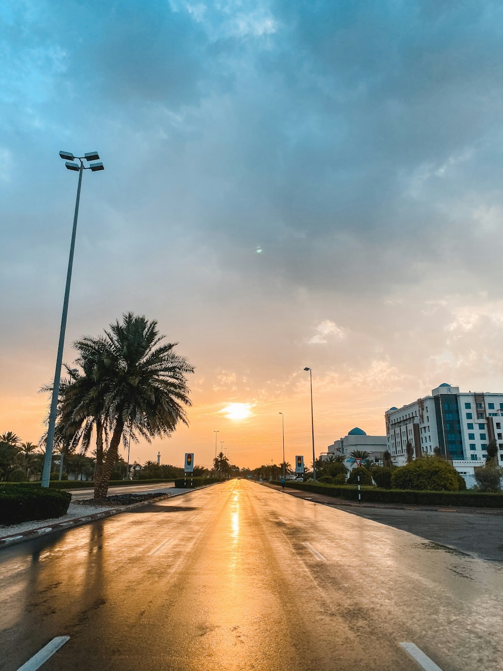 white street light near green palm trees during daytime