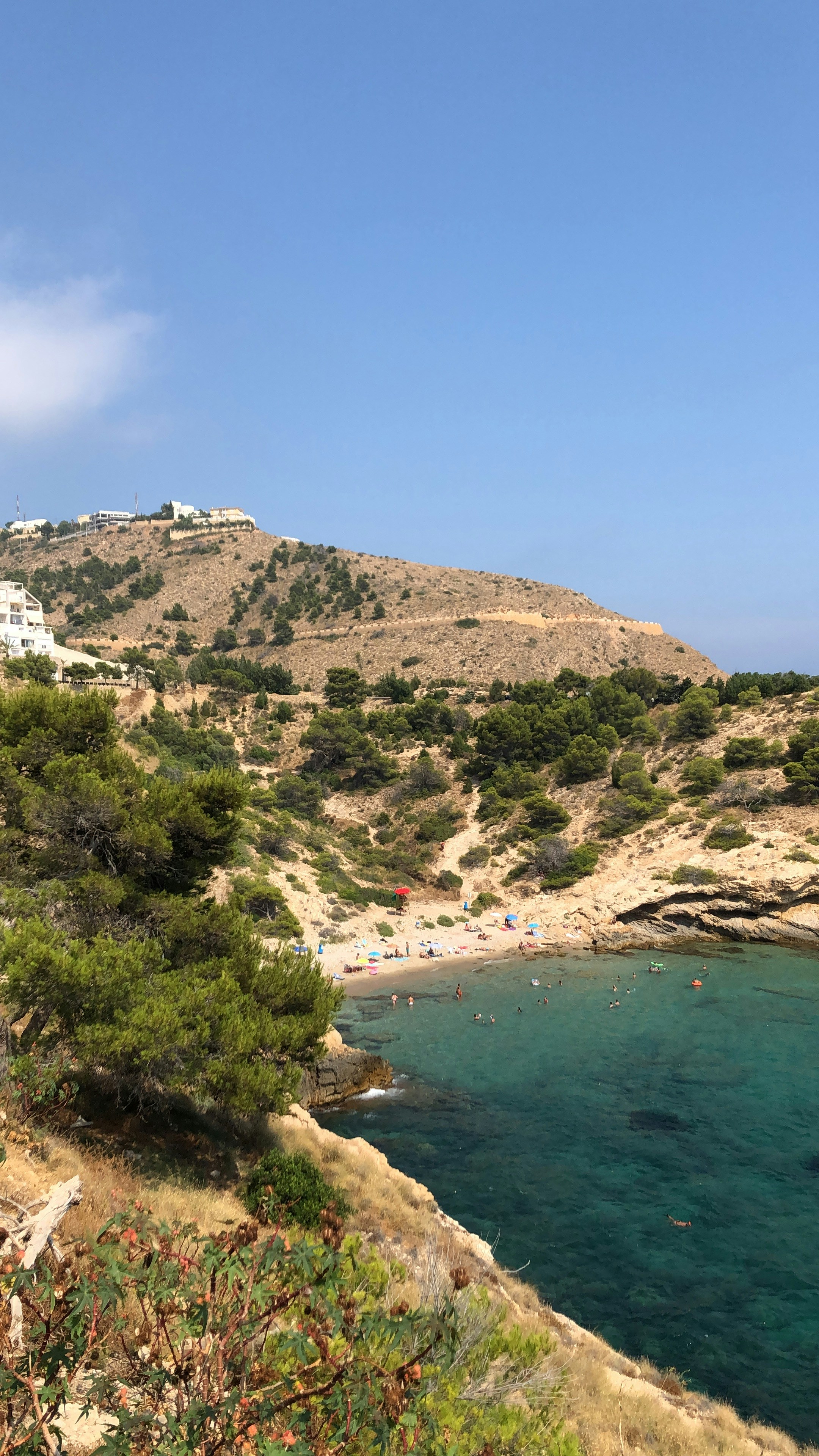 Photo by fabio_michelino