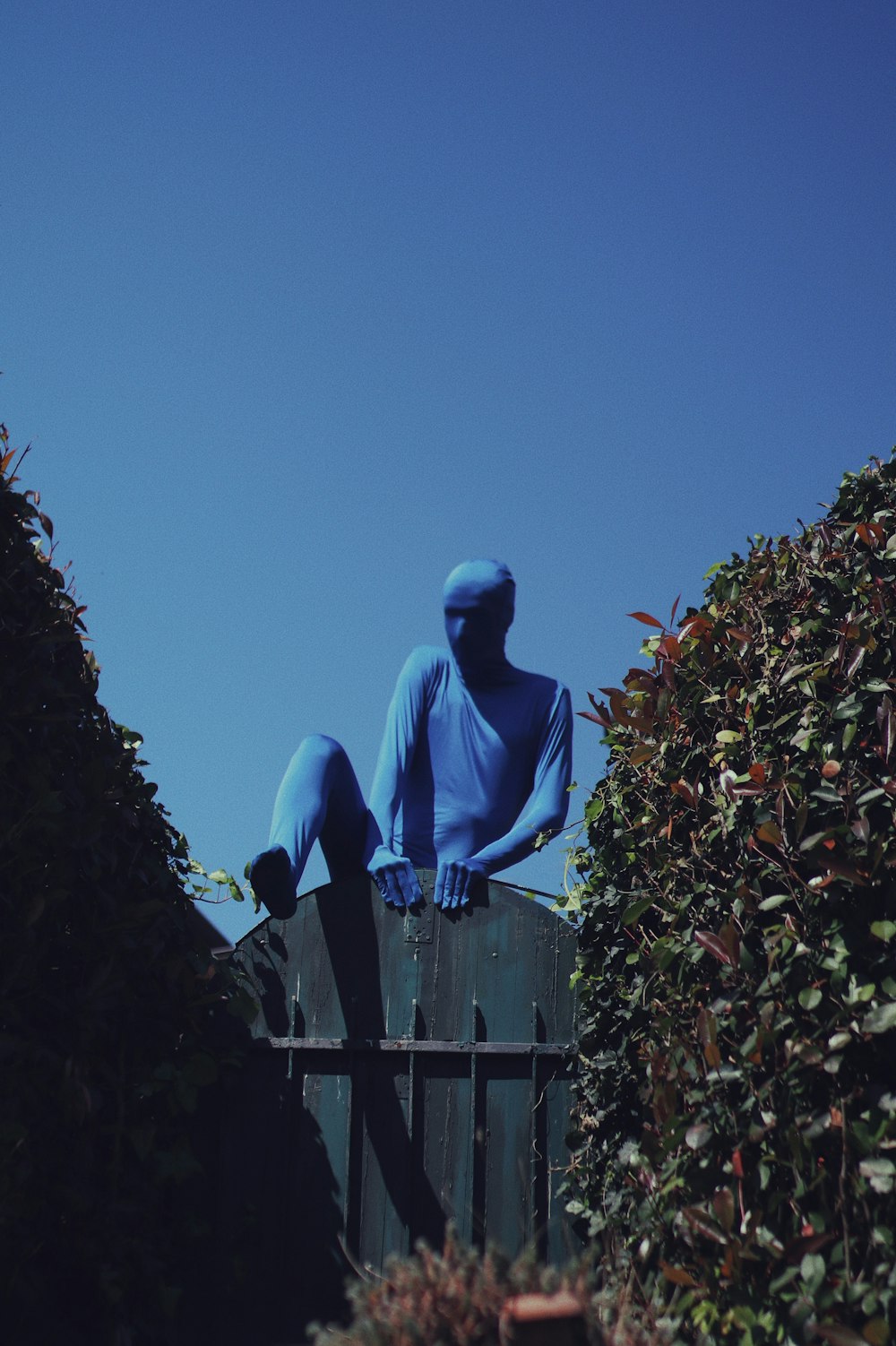 man in blue hoodie sitting on green wooden fence during daytime