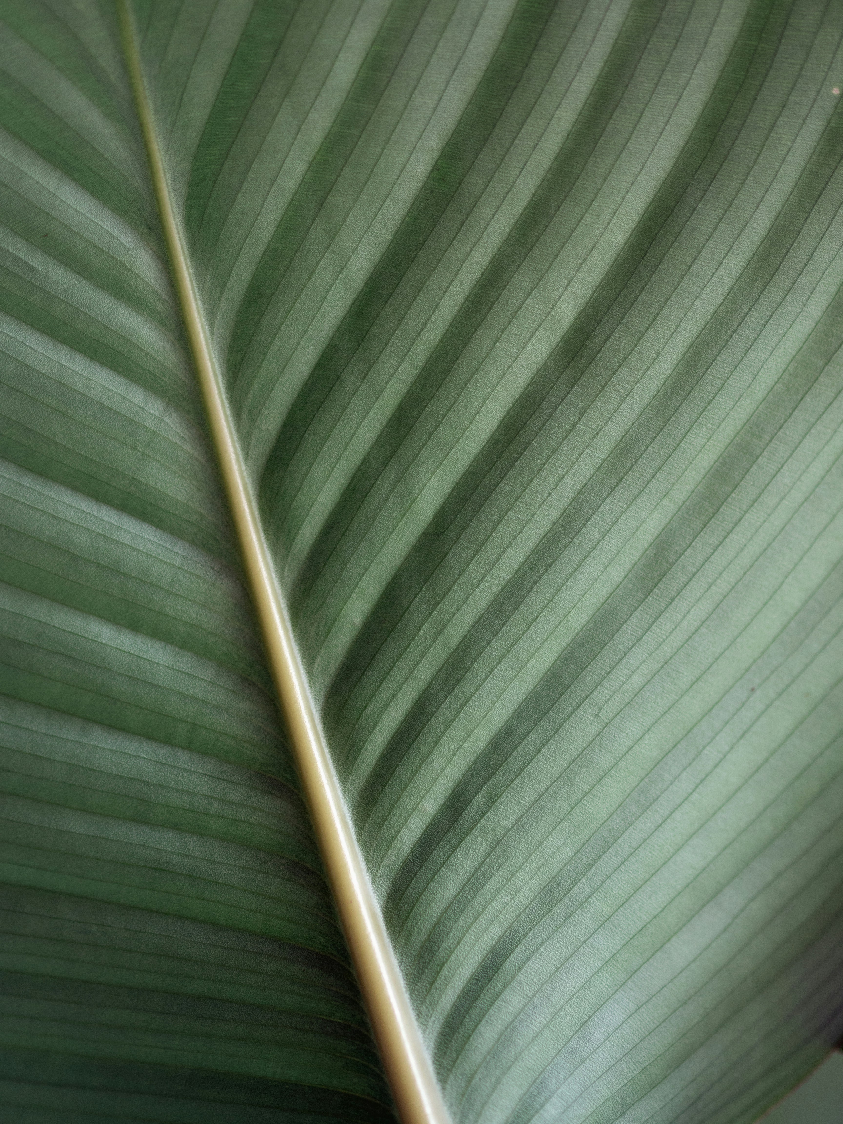 Photo by irae_fotografi