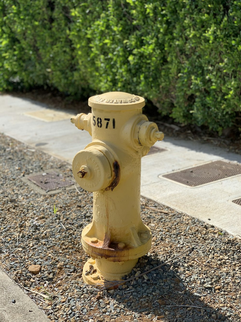 yellow fire hydrant on gray concrete floor