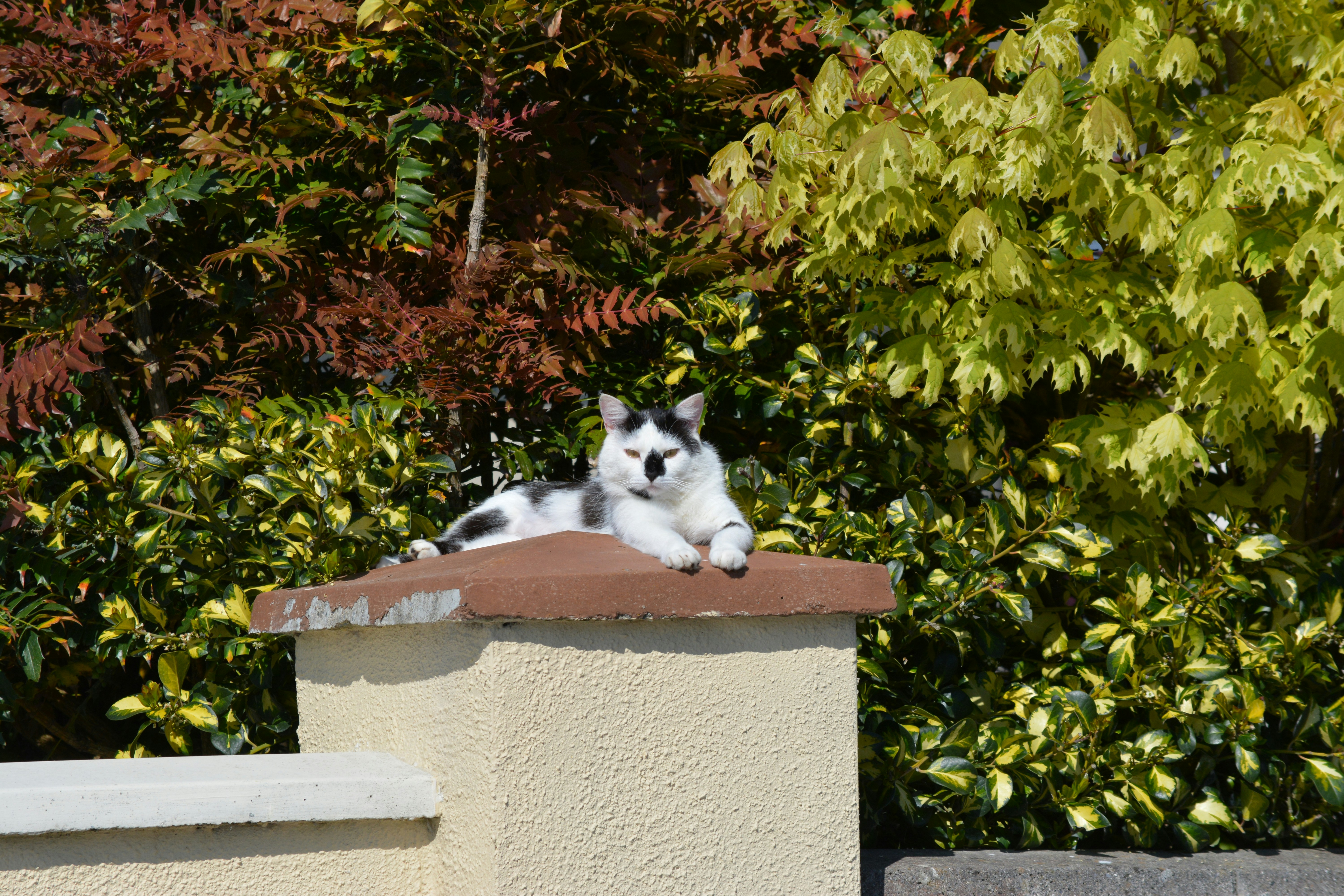 Photo by natashaguryanova