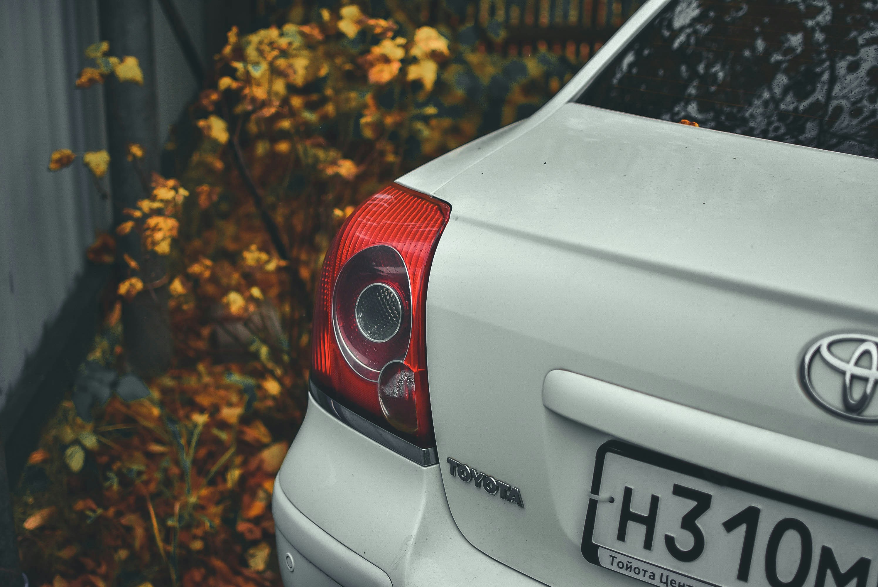 Photo by maxim_mushnikov