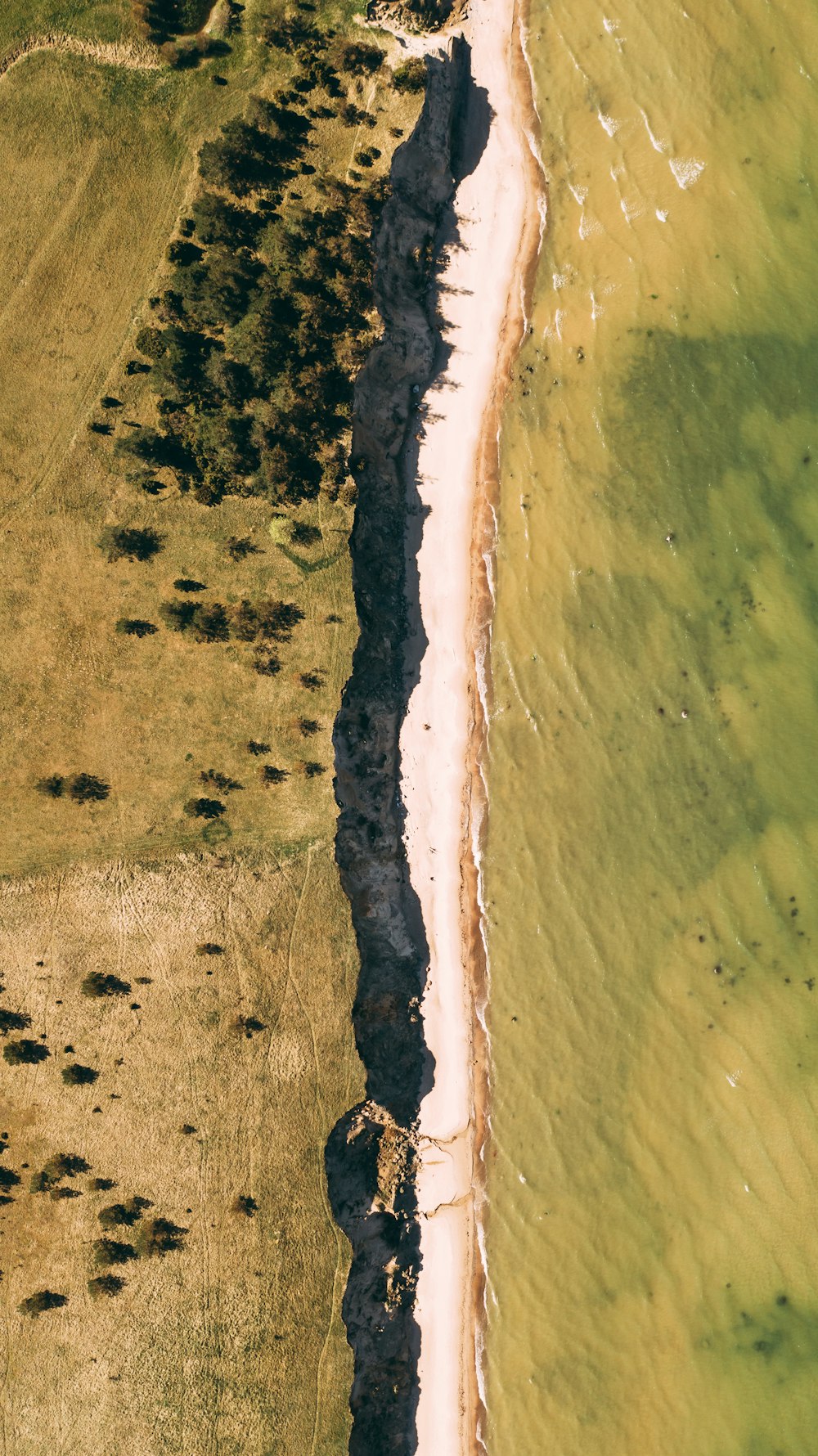 aerial view of beach during daytime