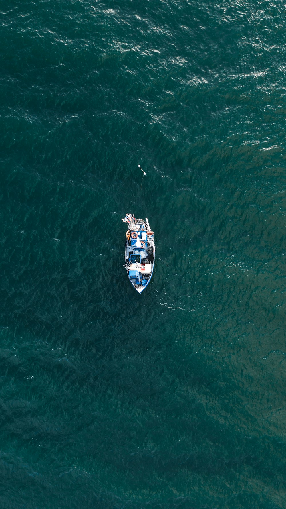 昼間の水域の白と青のボート