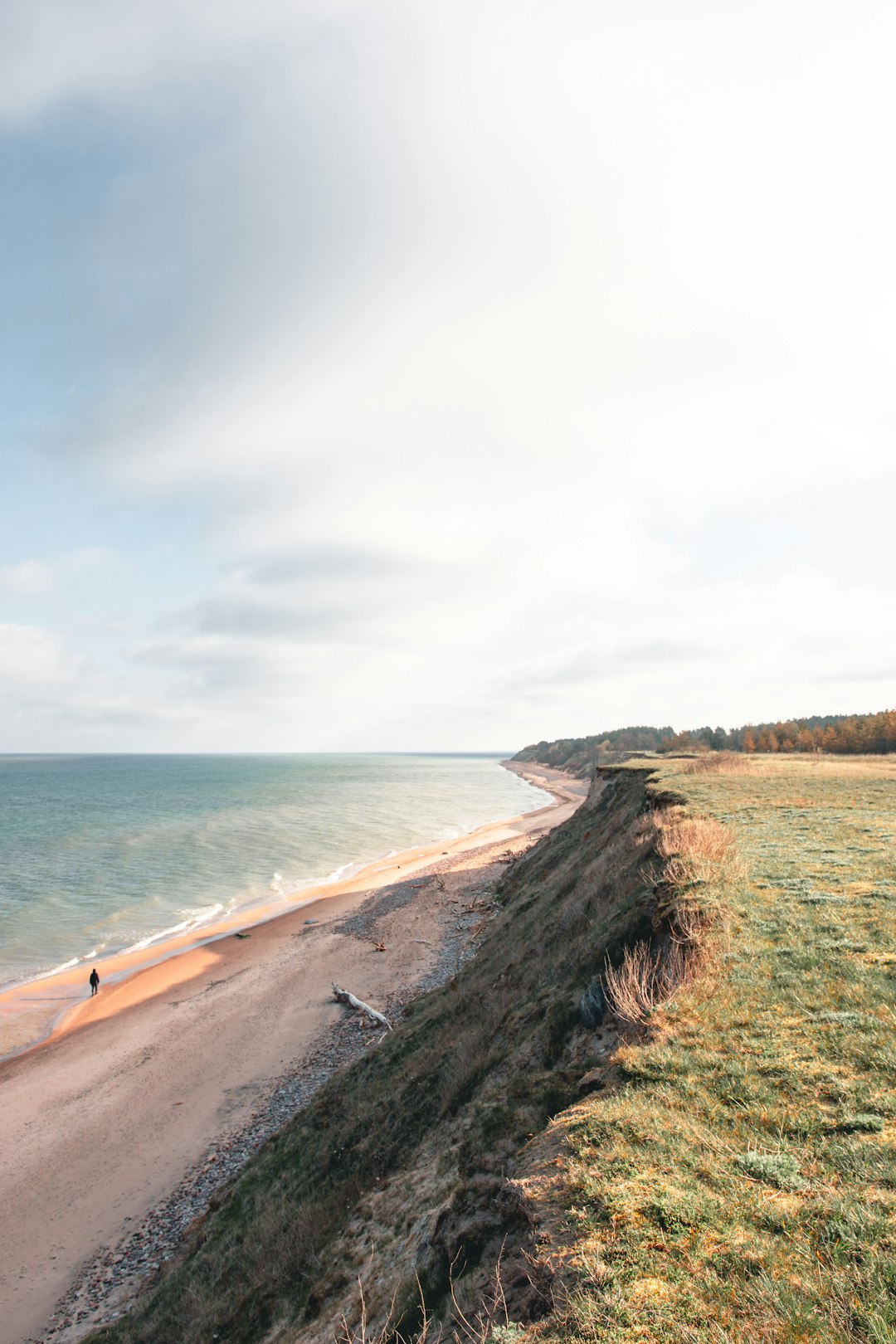 brown sand near body of water during daytime