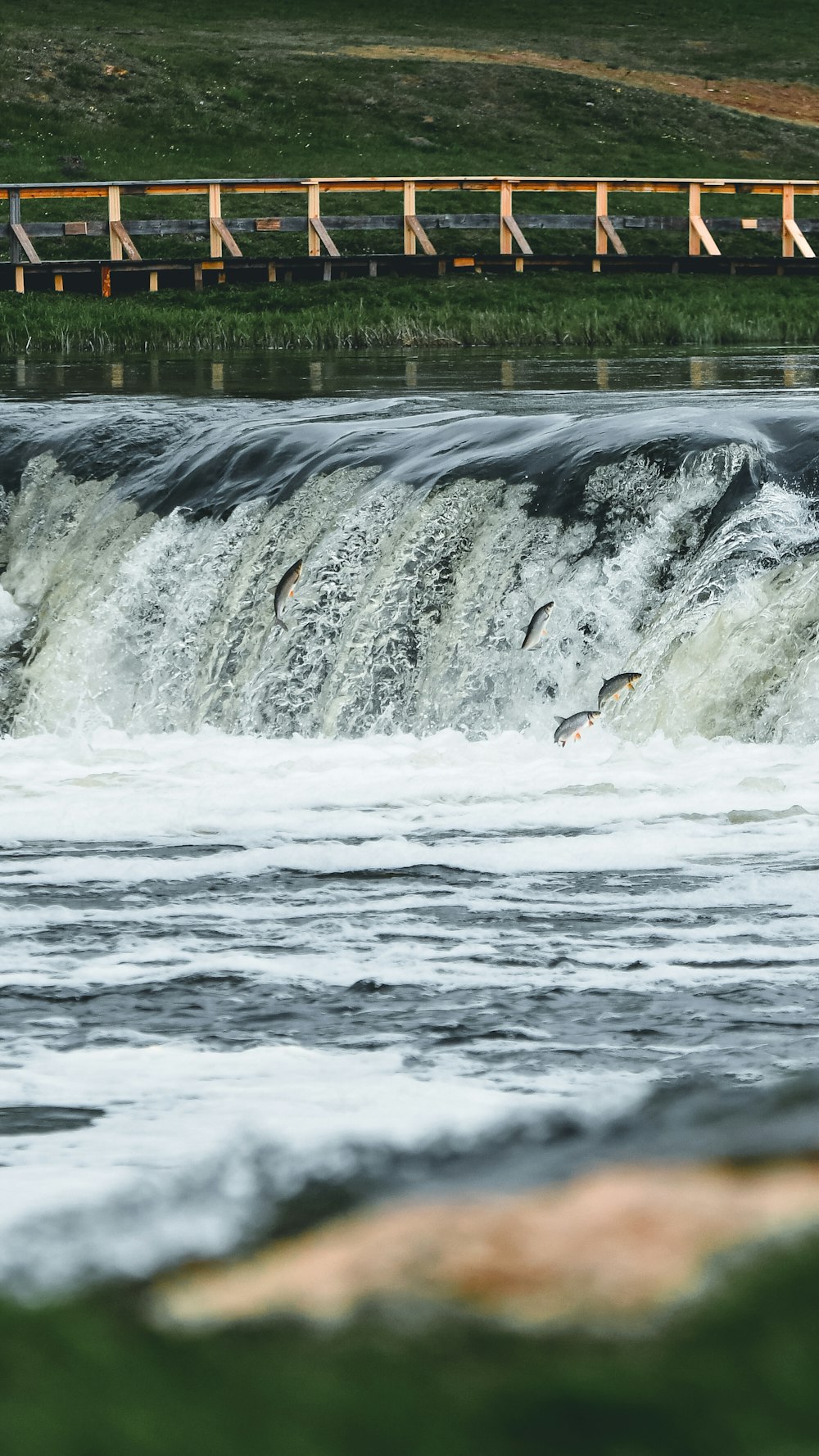 person surfing on water during daytime