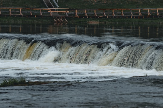 water falls on brown wooden bridge in Kuldīga Latvia