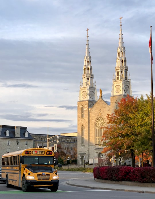 yellow school bus near brown concrete building during daytime in Notre-Dame Cathedral Basilica Canada