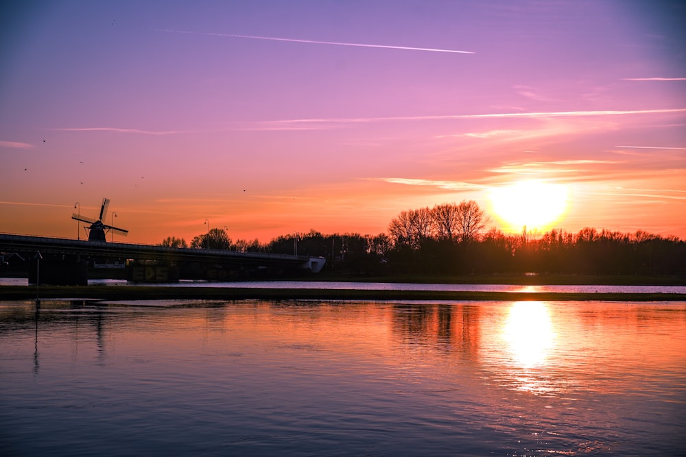 silhouette of trees beside body of water during sunset