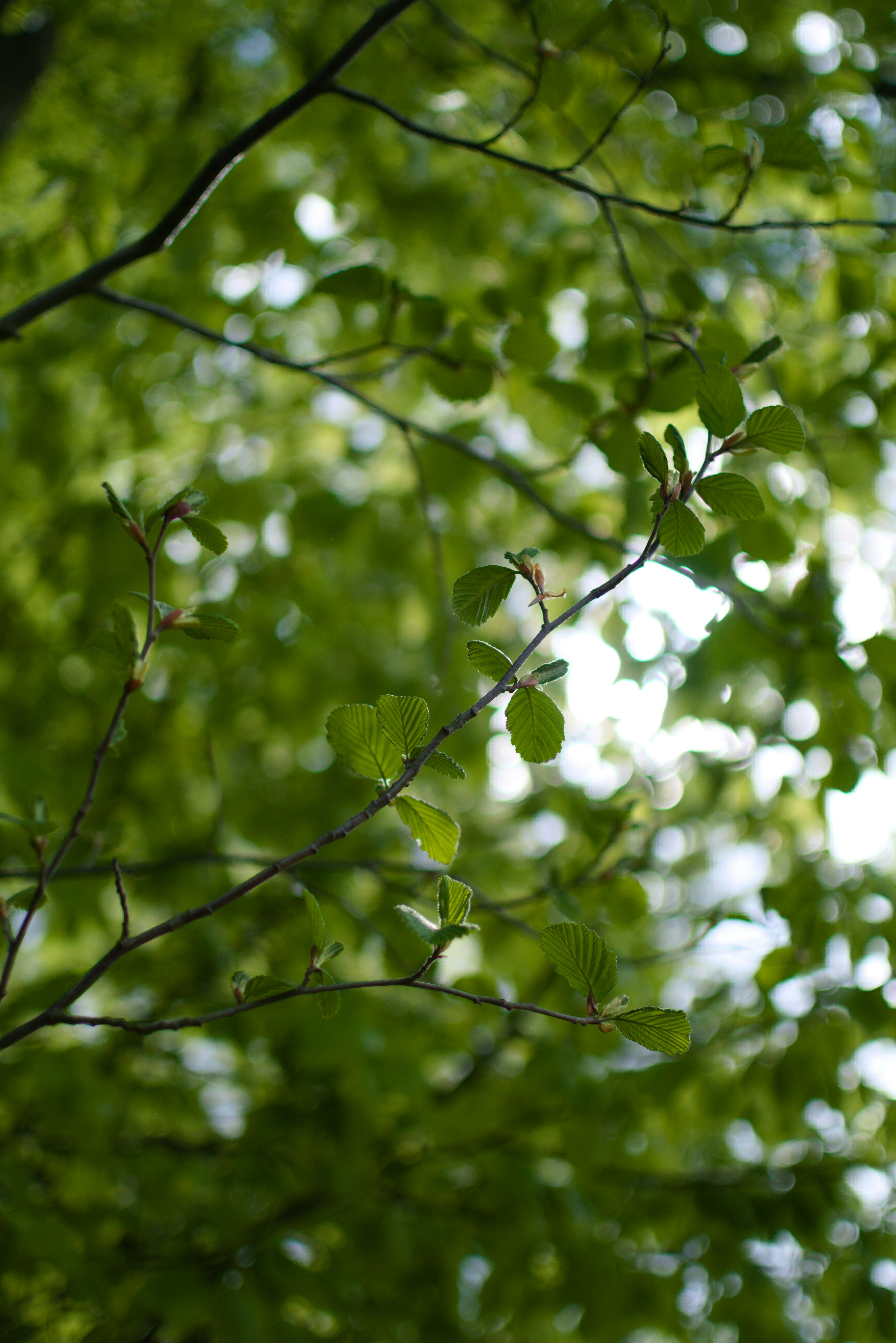 Photo by lh4tography