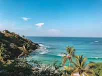 green palm tree near sea under blue sky during daytime