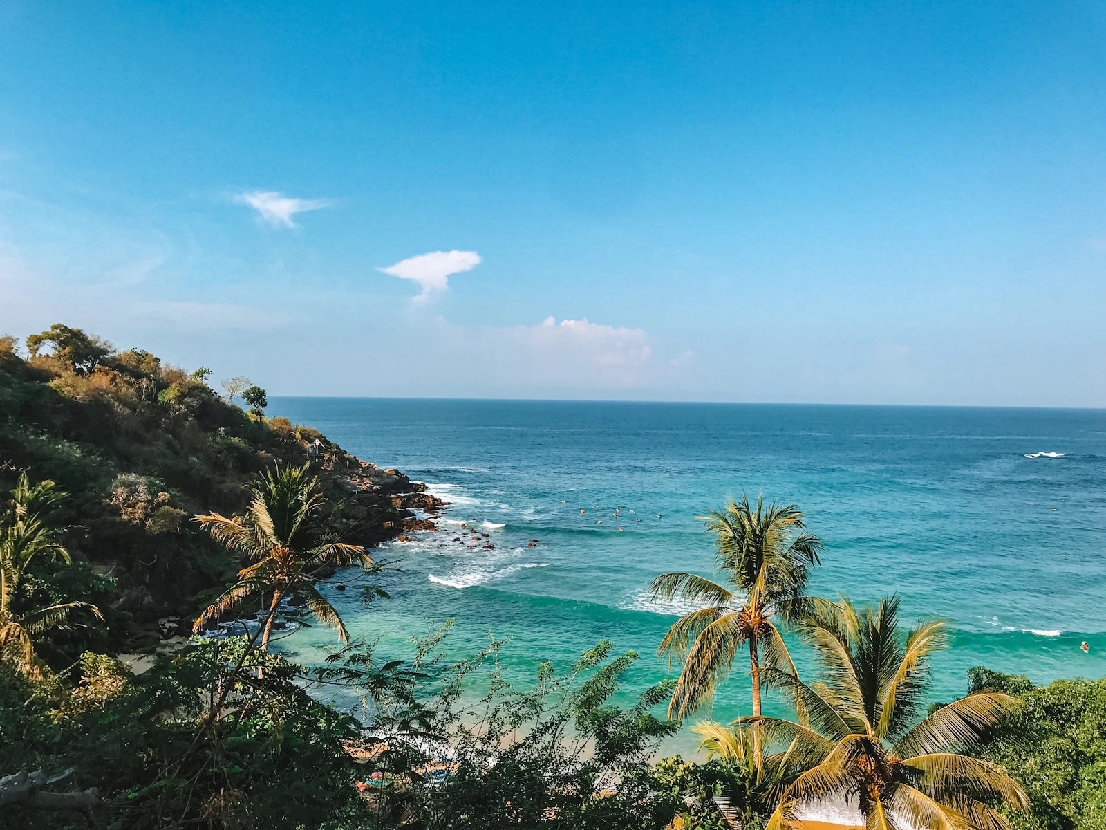 Palms above a rocky bay on the Pacific at Puerto Escondido