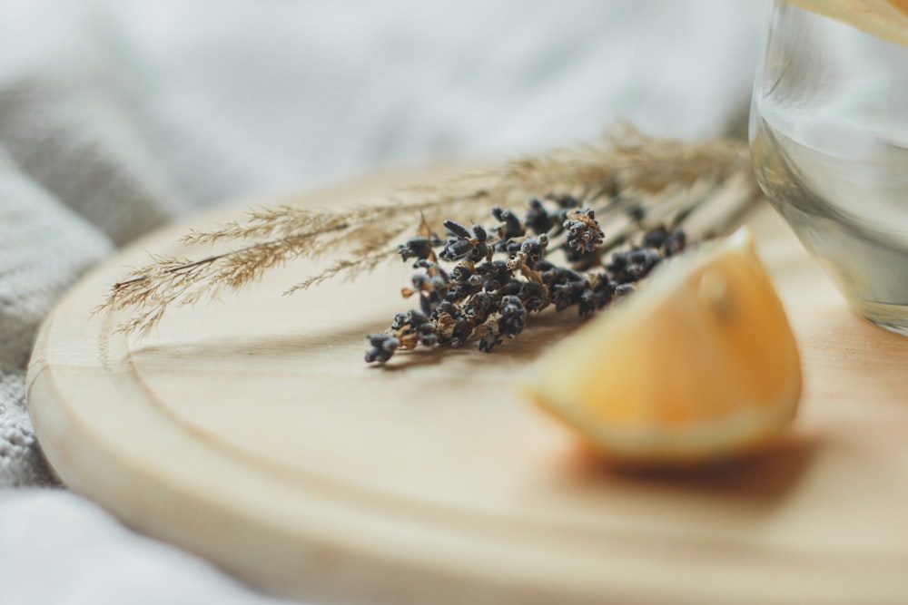 brown and black coffee beans on white ceramic plate