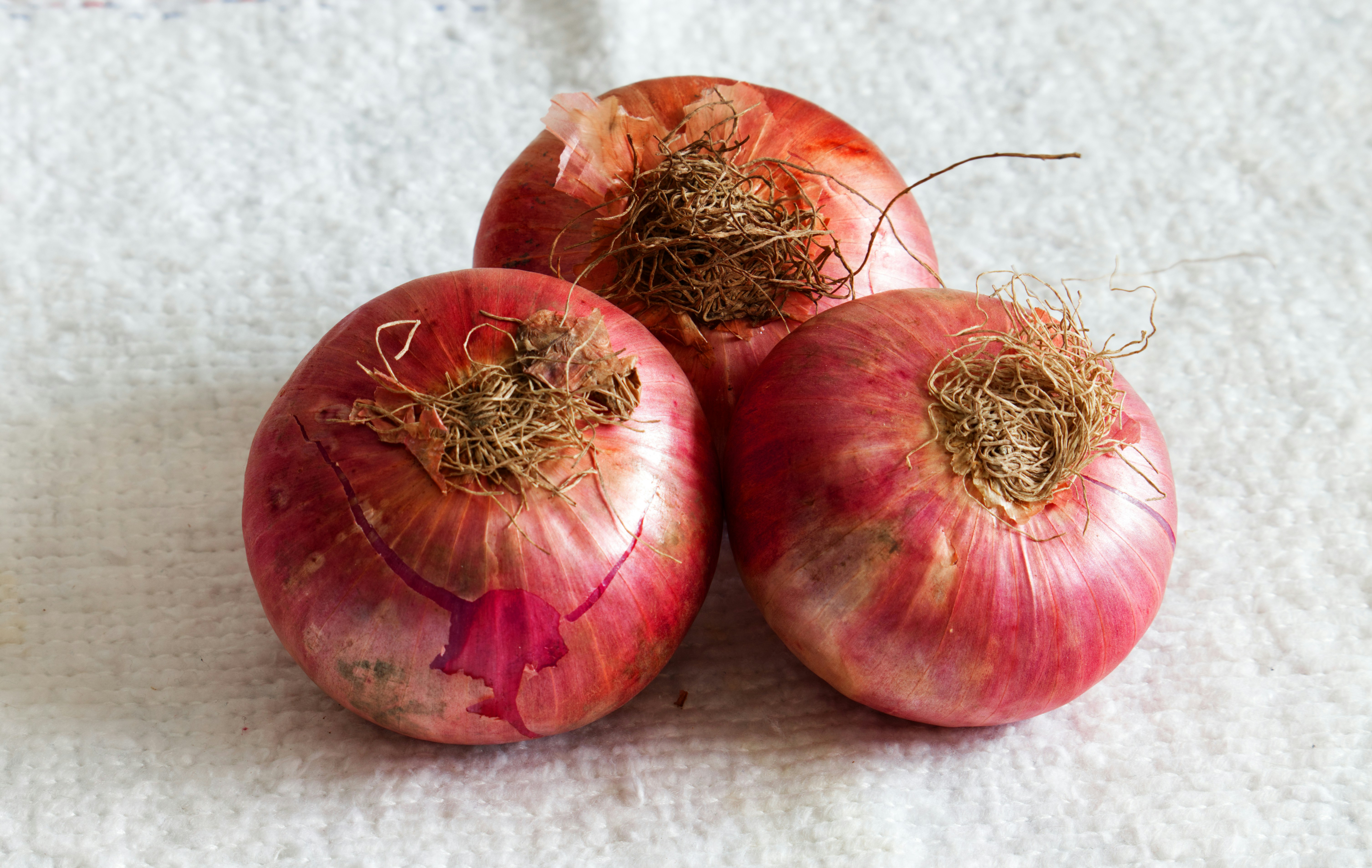 red round fruits on white textile