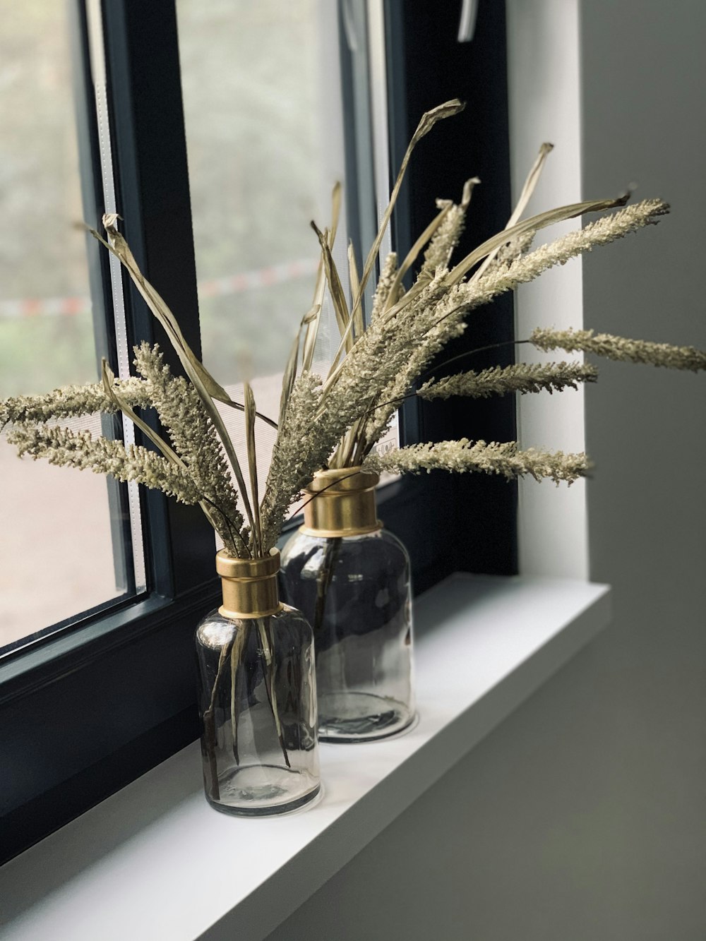 brown plant in clear glass bottle