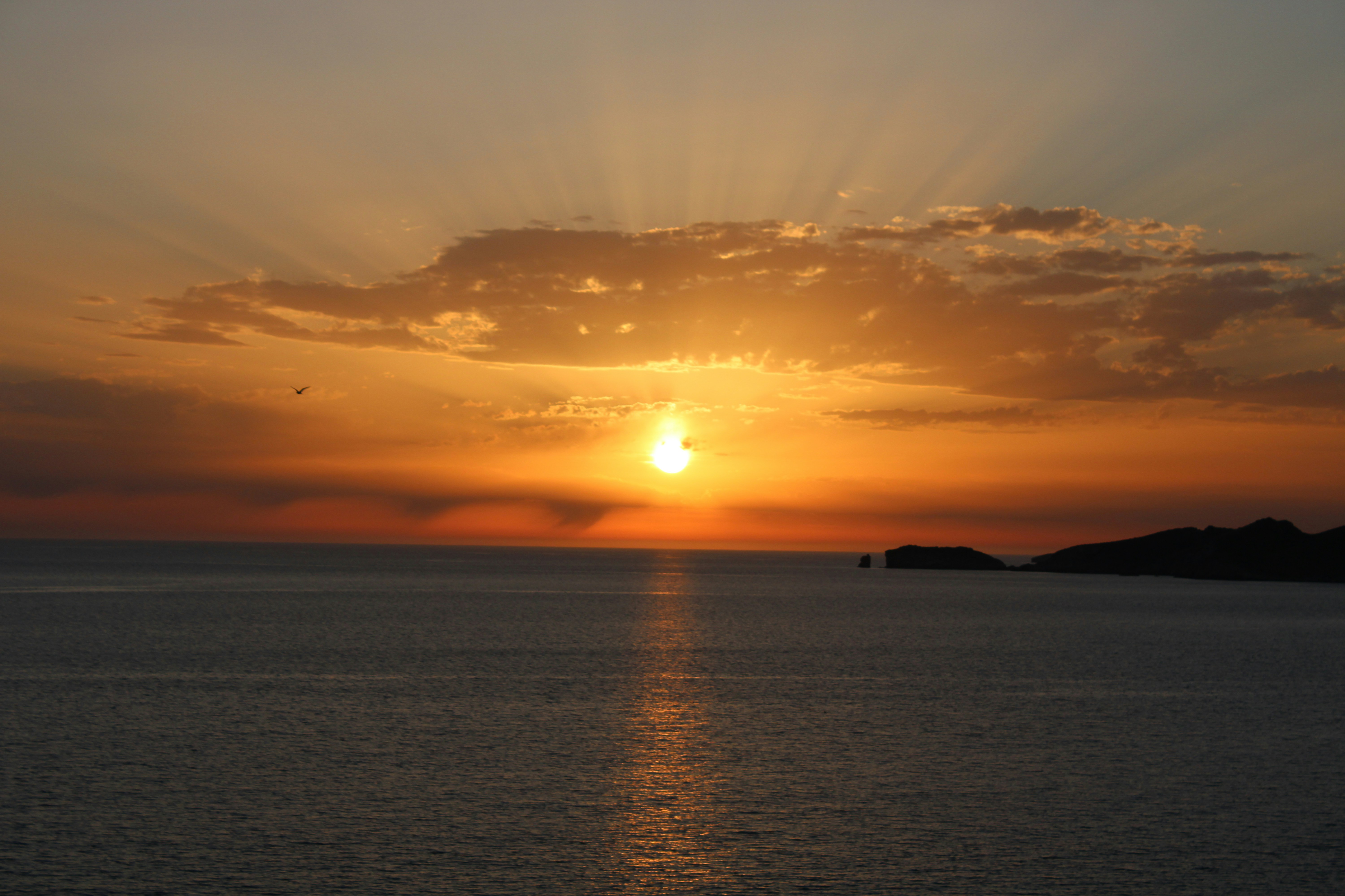 Photo by anatomescu92