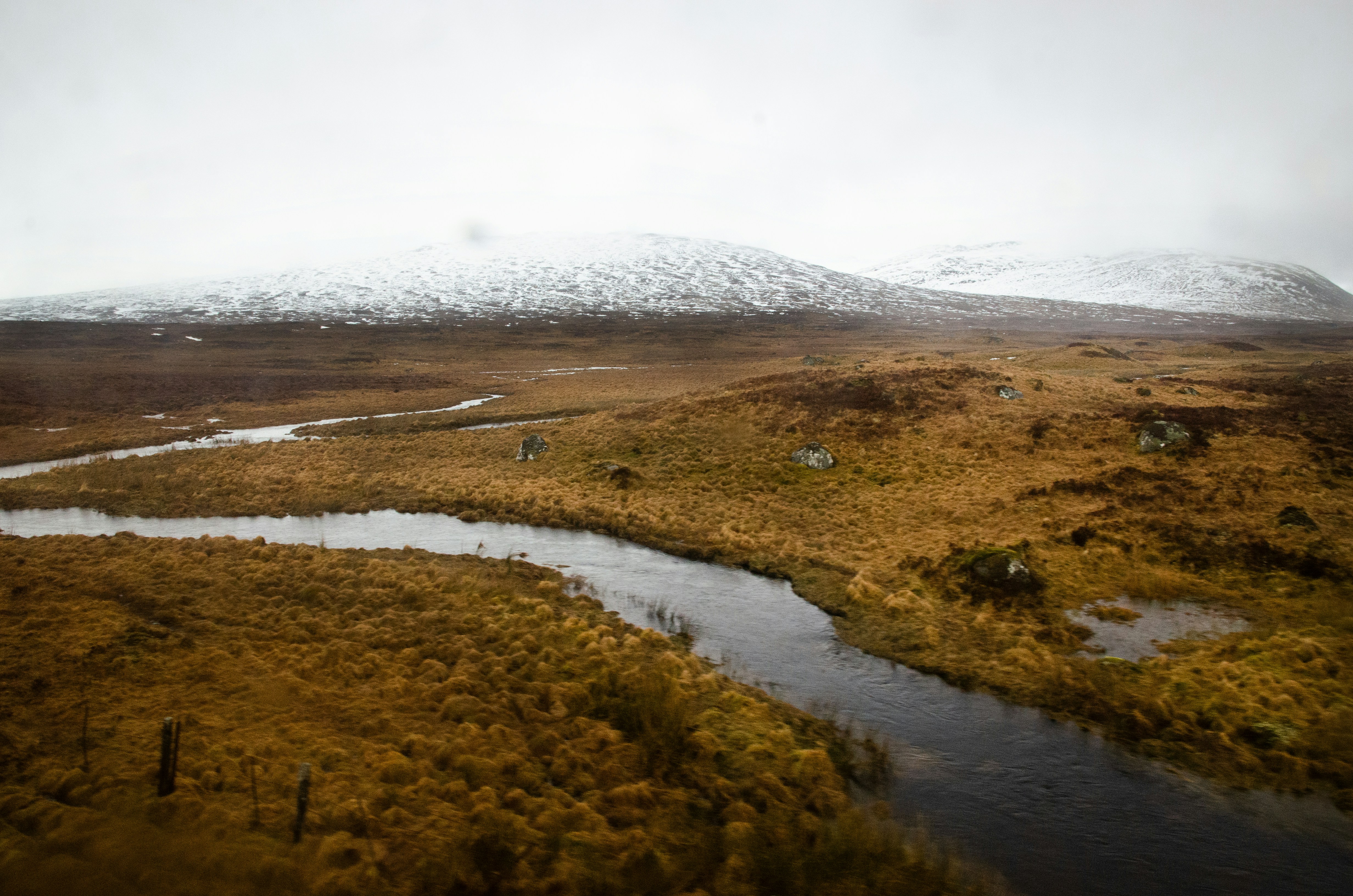 Photo by vanessajkerr