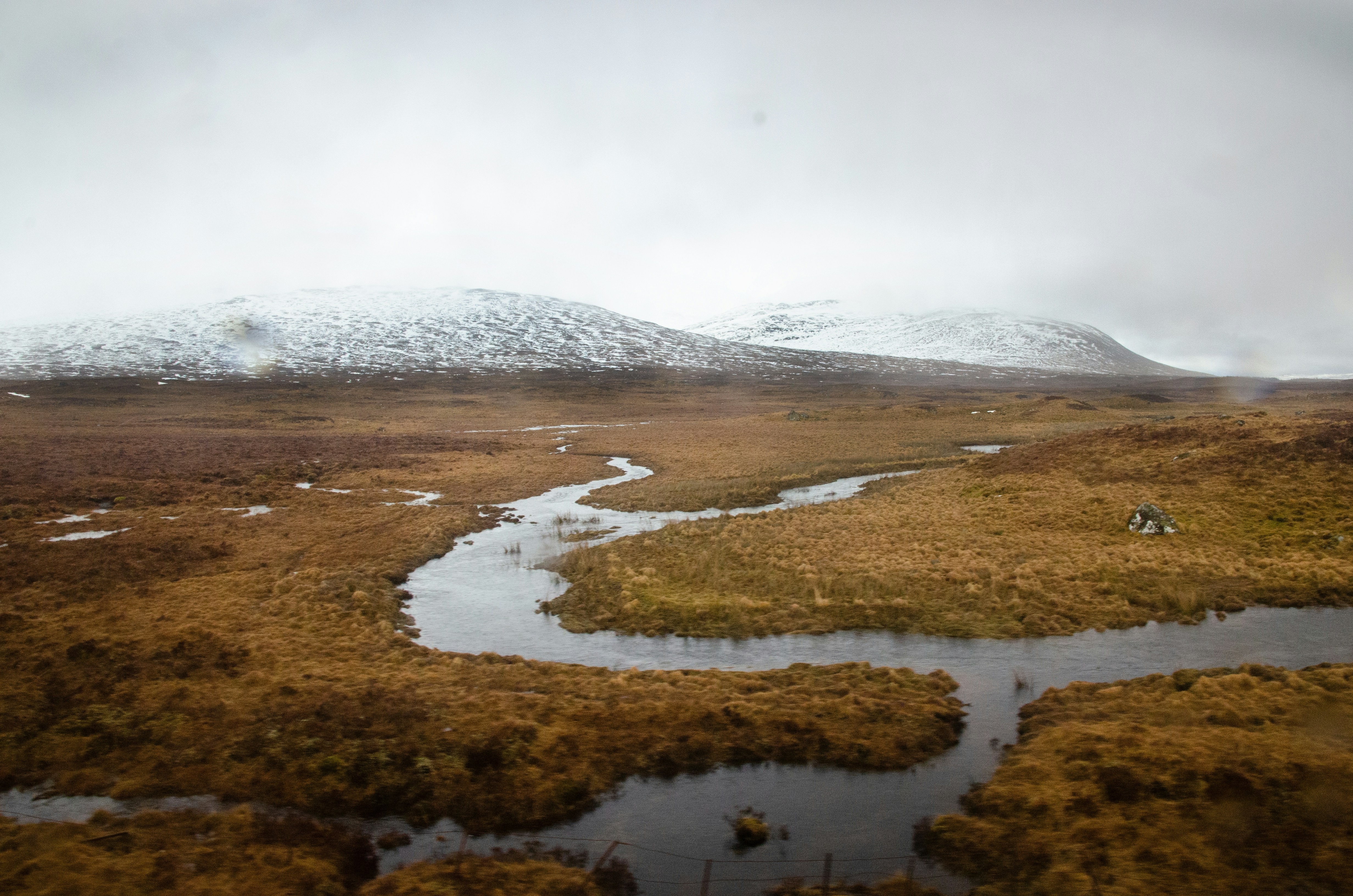 Photo by vanessajkerr