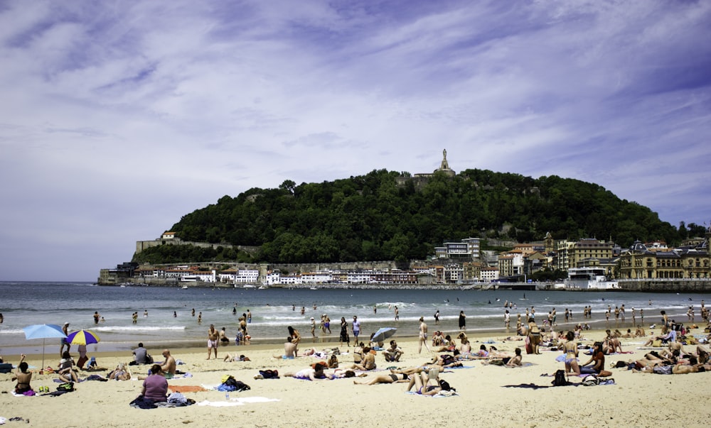 people on beach during daytime