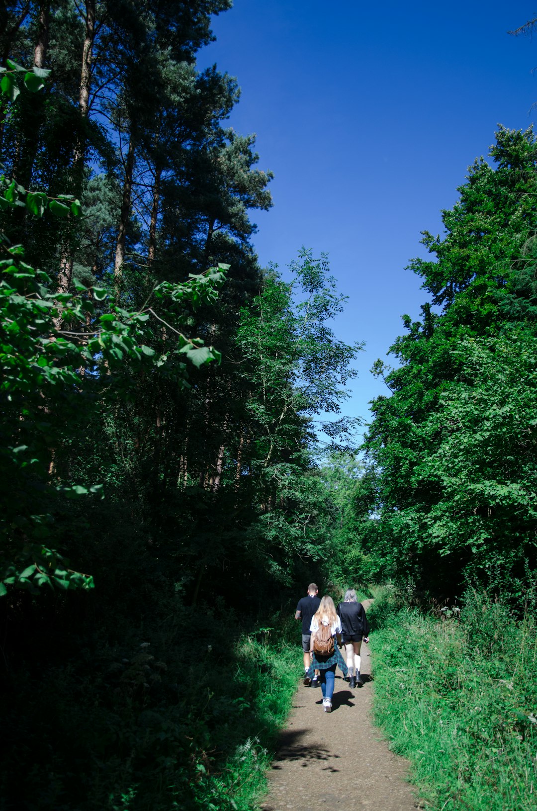 Nature reserve photo spot Salcey Forest Hyde Park